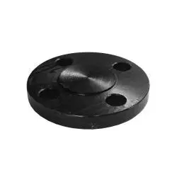 107044 - 5 In Outside Diameter Raised Face Blind Flange, 0.689 In Thickness, Forged Steel 1