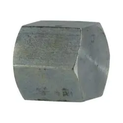 5406C12 - Steel Pipe Cap 3/4 In Fpt, Max Pressure 2500 Psi, Temp 375°F 1
