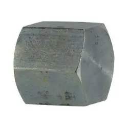 5406C4 - 1/4 In Fpt Steel Pipe Cap, 4000 Psi, 375°F Rated 1