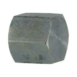 5406C6 - 3/8 In Fpt Steel Pipe Cap, 3000 Psi, 375°F Max Temperature 1