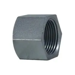 66635 - 1 In Mnpt Zinc-Plated Carbon Steel Square Socket Countersunk Plug, 150 Lb Pressure Rating 1