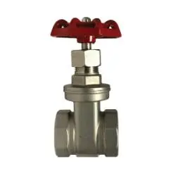 949254 - 3/4 In Fpt Gate Valve, 316 Stainless Steel Body, 200 Psi, 2.28 In Length, Handwheel Operator 1
