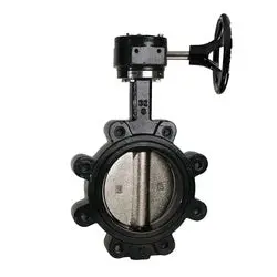9660G6 - 6 In Lug-Style Butterfly Valve With Ductile Iron Body And Buna-N Seat 1