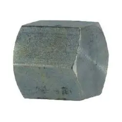 Ss5406-C-20 - 1-1/4 In Female Nptf 316 Stainless Steel Pipe Cap 1